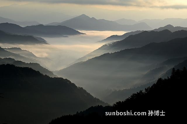 正山小種的功效與作用及禁忌-正山小種加鹽的功效與作用-正山小種人參湯功效與作用